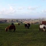 20191224 145129 - Copie