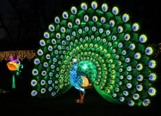 Photos nocturnes (A)