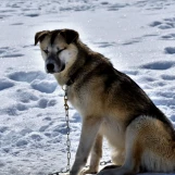 slide0005 image015 chph