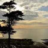 slide0003 image009 chph