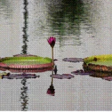 slide0031 image069 chph