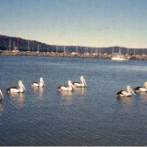 slide0041 image087 chph