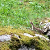 slide0015 image036 chph