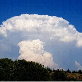 slide0045 image095 chph