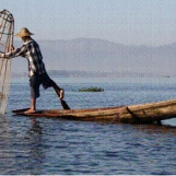 slide0028 image063 chph