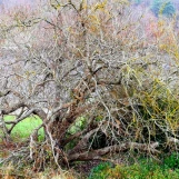 22-18-IMG 20200102 093021