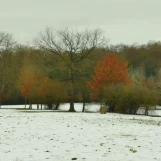 11-07-IMG 20190131 141223