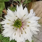 4-IMG 20190606 171456