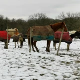 09-04-IMG 20190131 141134