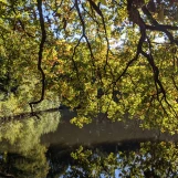 PXL 20211014 142119757