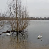 Etang St Quentin en Ynes