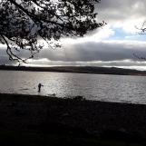 20221111 155250 comp