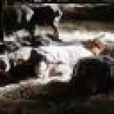 0875a974f1c953c128ef35f32f1a9d61