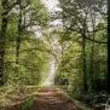 0370c53d792c70834672ba888d0c7fff