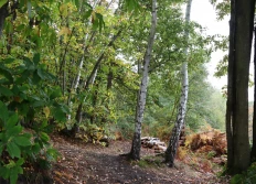 Sortie Atelier Oct 22 Le Bassin de la Courance