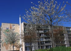 Les fresques à Versailles -Jussieu