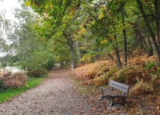 Album Photo pour Expo (A)