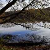 La Courance Automne 2023