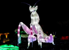 Lumières Sauvages Thoiry