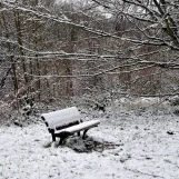 09.01.2024 En forêt de Maurepas (1)