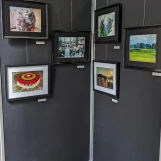 PXL 20240301 141333672