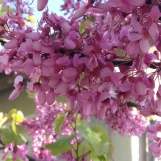 IMG 20240428 190655  01