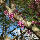 IMG 20240428 190825  01