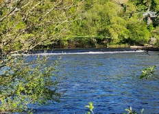 Les bords de Vienne à Limoges
