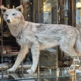 20241018 105445 modifie