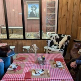 PXL 20250127 150122013-