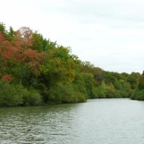 Etang d'Or (Rambouillet).