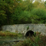 Etang d'Or (Rambouillet).