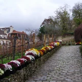 Montmartre: les vignes