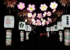 Le Japon en lumières. Jardin d'acclimatation (Paris; janvier 2026)