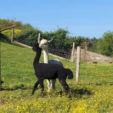 IMG-20260524-WA0012