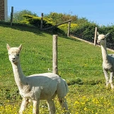 IMG-20260524-WA0008
