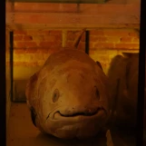 Château de la Bussière (Loiret): spécimen de caelacanthe pêché en 1976